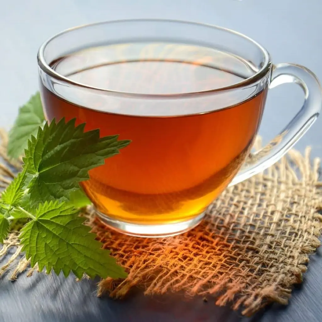 Tea With Mint